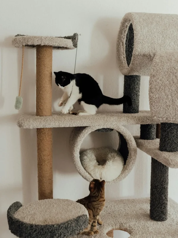 Pet Products