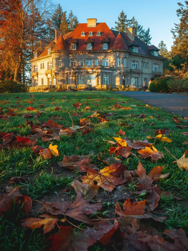 Lawn Garden